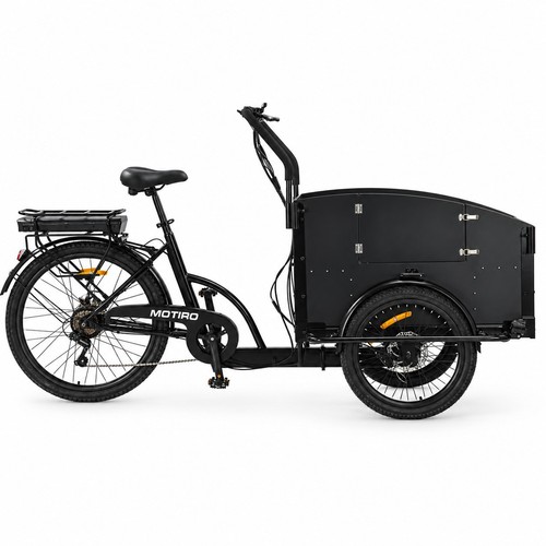 Bici carico elettrica - bici,
